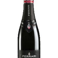 MAXIMUM BLANC DE BLANCS MAGNUM 1.5 L (FERRARI) - Salotto