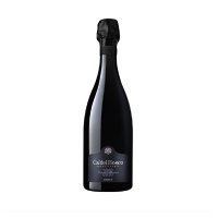 Vintage Collection 2016 Brut (Cà del bosco) - Salotto
