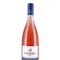 CALAFURIA 2024 - TORMARESCA - Salotto