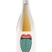 LICK (PETRACAVALLO) Riferm. in bott - Salotto