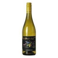 SAUVIGNON 2022 ( FRANZ HAAS) - Salotto