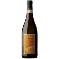 Verdicchio dei Castelli di Jesi Classico Riserva DOCG "Sanpaolo" 2020 - Pievalta - Salotto