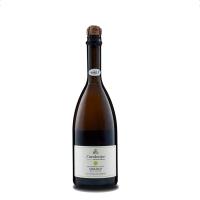 Marasco (L'archetipo) - Triple "A" - Salotto