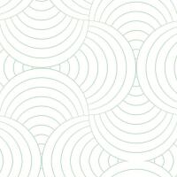 Franui homemade - Lido Bikini