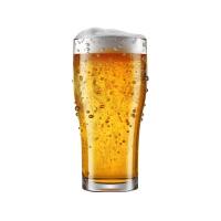 Birra alla Spina 0,40L - Valtur Baia del Gusmay