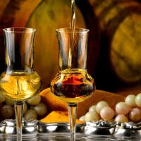 GRAPPA - BRACCO PIZZA CHEF