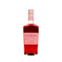 Haymans Spiced Sloe Gin - Fuori orario