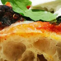 Contadina - Pizza Export - Bologna