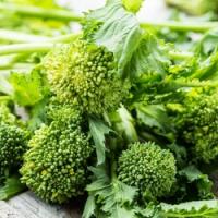 Friarielli * - Pizza Export - Bologna