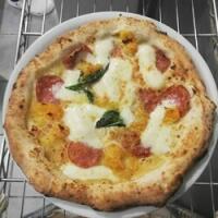 Vesuvio - Pizza Export - Bologna