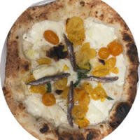 O' Sole Mio - Pizza Export - Bologna