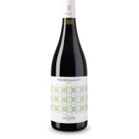 Negroamaro tenute viglione bottiglia - L'incontro pub