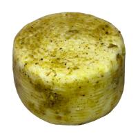 Pecorino Primo Sale con Pistacchio - Tastami.it