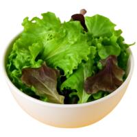 plain SALAD - Perfegg - Centro