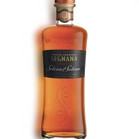 Segnana - Giza Caffè Gelateria molfetta