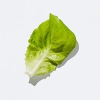 Smashburger Salad - Payprint