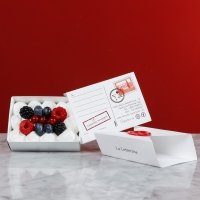 Letterina Pavlova - Antonio Ventieri